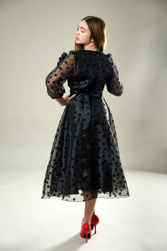 Rochie Luu